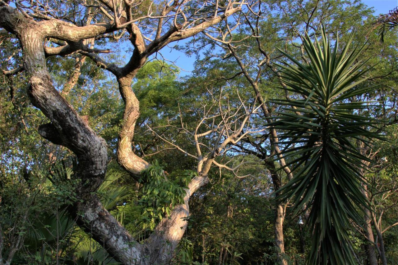 Vila Casa Unica Com Piscina E Lareira A 1,2 Km Do Centro Chapada dos Guimarães Exteriér fotografie