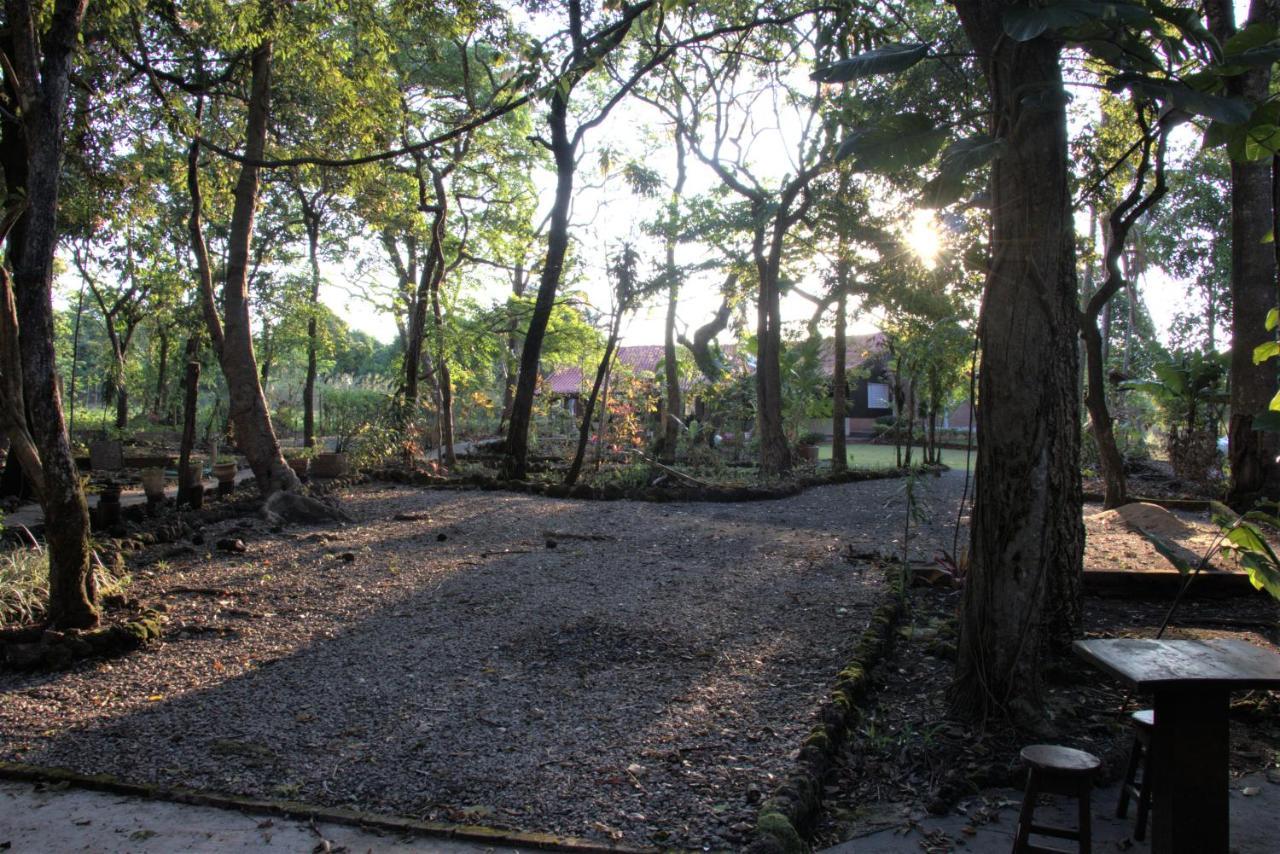 Vila Casa Unica Com Piscina E Lareira A 1,2 Km Do Centro Chapada dos Guimarães Exteriér fotografie