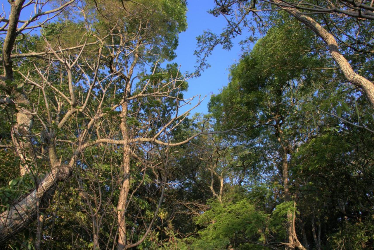 Vila Casa Unica Com Piscina E Lareira A 1,2 Km Do Centro Chapada dos Guimarães Exteriér fotografie