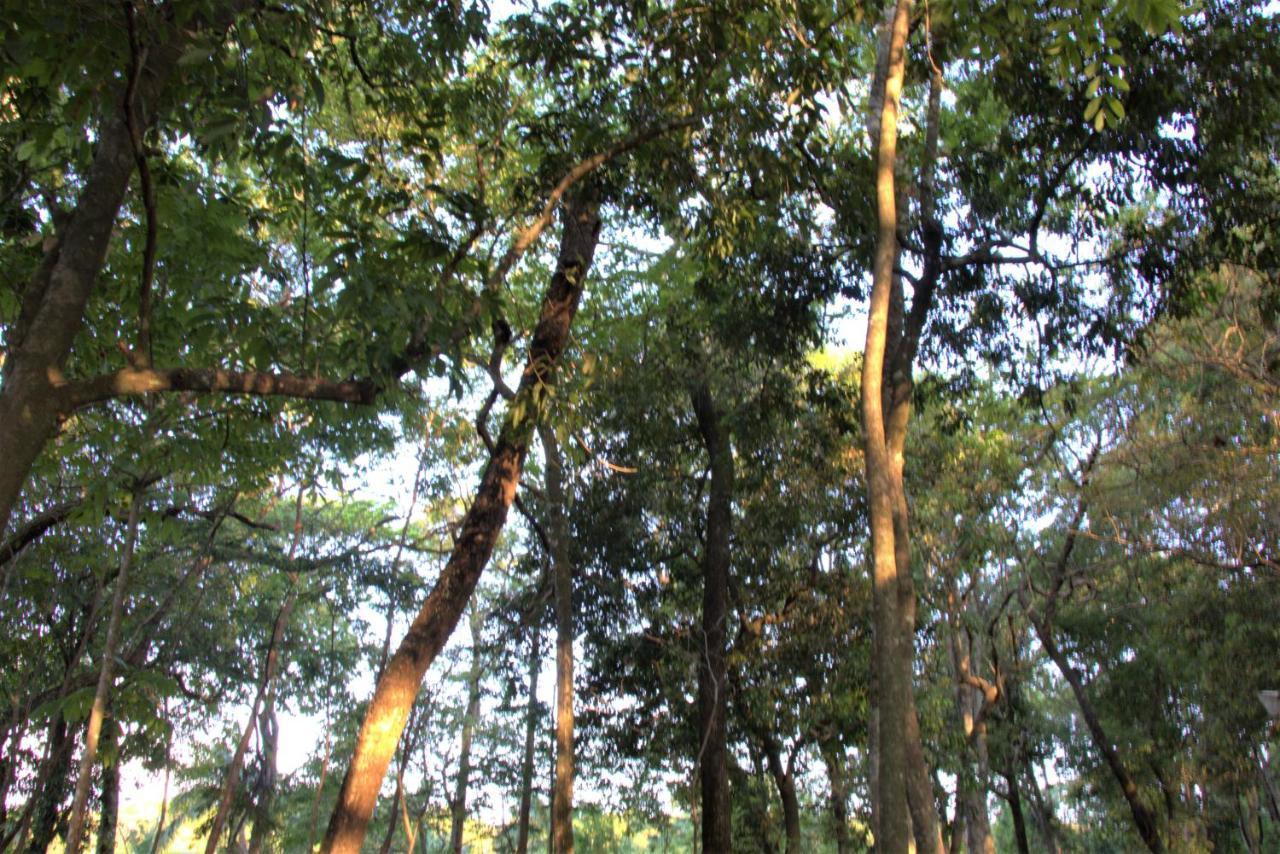 Vila Casa Unica Com Piscina E Lareira A 1,2 Km Do Centro Chapada dos Guimarães Exteriér fotografie